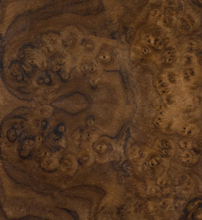Bur Walnut Veneer